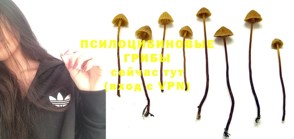 амфетамин Новокубанск